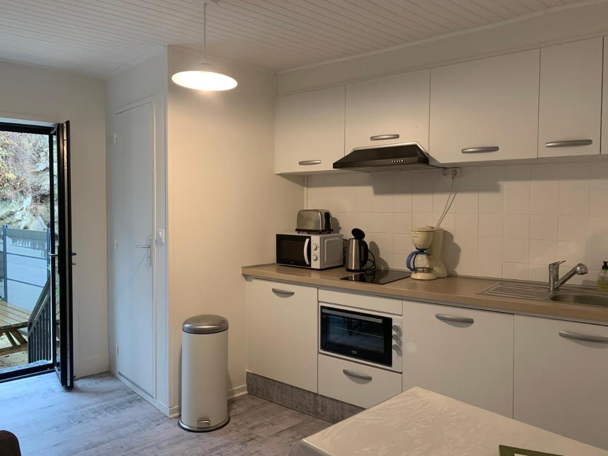 Appartement 4 Personnes, 1 Chambre, Terrasse, Wifi, Proche Du Centre La Bourboule Exteriér fotografie